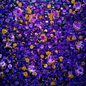 40 de serie 40 obras de 40x40 cm. Tecnica mixta sobre madera, bastidor 2,5cm.